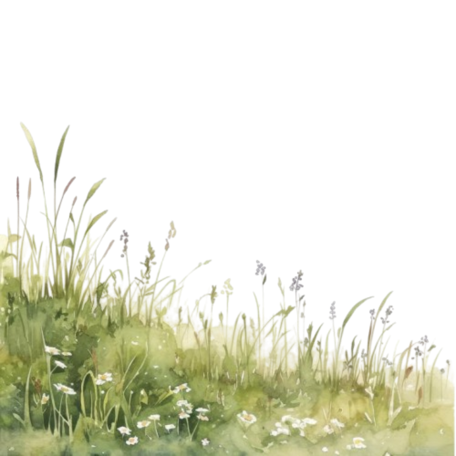 Bottom Banner
