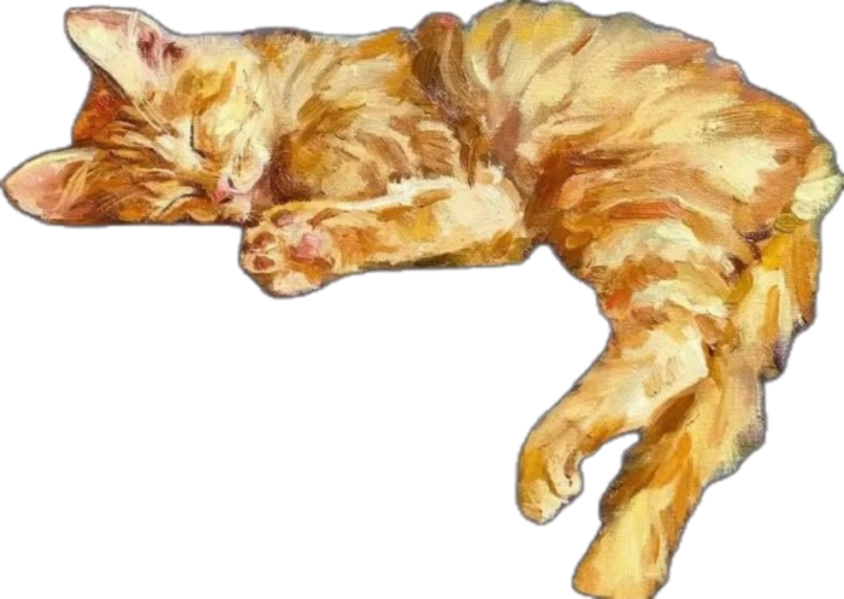 Sleeping Cat